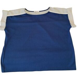 Blue and White Color-Block Blouse